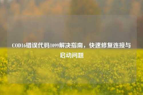 COD16错误代码1099解决指南,快速修复连接与启动问题