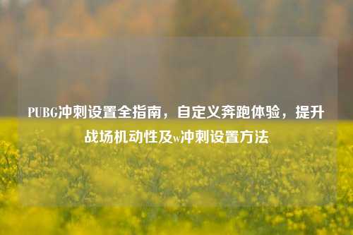 PUBG冲刺设置全指南,自定义奔跑体验,提升战场机动性及w冲刺设置方法