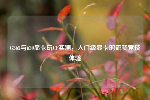 G365与630显卡玩CF实测,入门级显卡的流畅竞技体验
