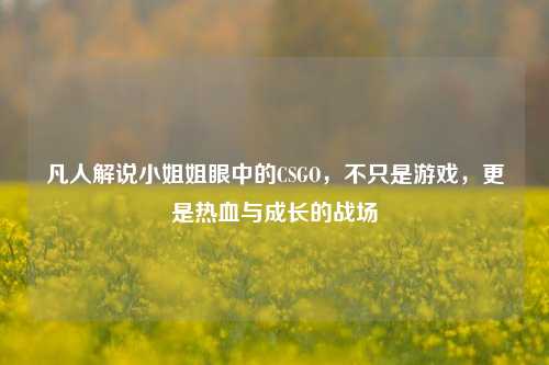 凡人解说小姐姐眼中的CSGO，不只是游戏，更是热血与成长的战场