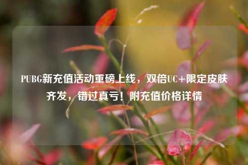PUBG新充值活动重磅上线,双倍UC+限定皮肤齐发,错过真亏!附充值价格详情
