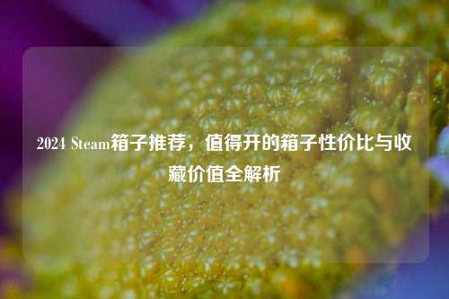 2024 Steam箱子推荐,值得开的箱子性价比与收藏价值全解析