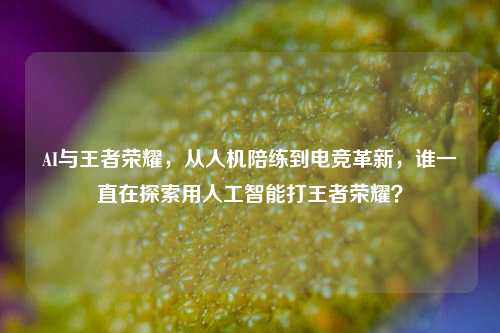 AI与王者荣耀，从人机陪练到电竞革新，谁一直在探索用人工智能打王者荣耀？