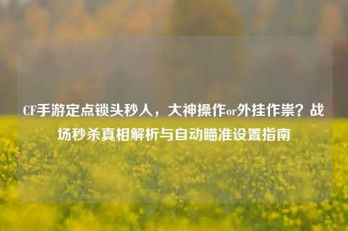CF手游定点锁头秒人,大神操作or外挂作祟?战场秒杀真相解析与自动瞄准设置指南