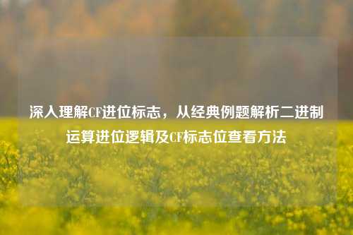 深入理解CF进位标志,从经典例题解析二进制运算进位逻辑及CF标志位查看方法