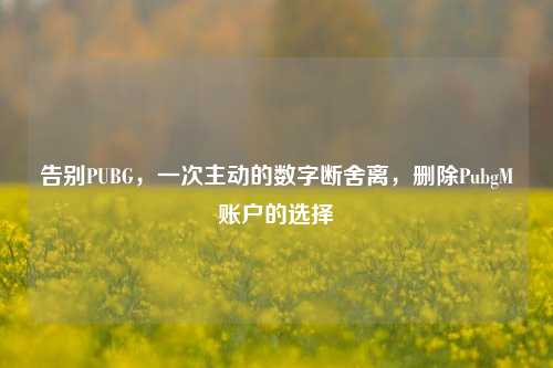 告别PUBG，一次主动的数字断舍离，删除PubgM账户的选择