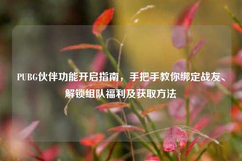 PUBG伙伴功能开启指南,手把手教你绑定战友、解锁组队福利及获取方法