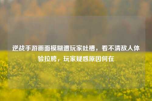 逆战手游画面模糊遭玩家吐槽,看不清敌人体验拉胯,玩家疑惑原因何在