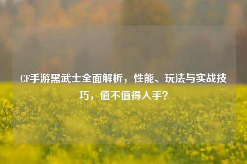 CF手游黑武士全面解析，性能、玩法与实战技巧，值不值得入手？
