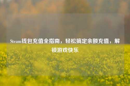 Steam钱包充值全指南,轻松搞定余额充值,解锁游戏快乐