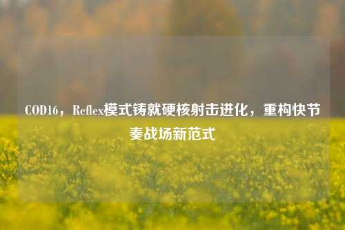 COD16，Reflex模式铸就硬核射击进化，重构快节奏战场新范式