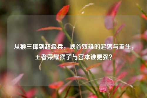 从猴三棒到超级兵,峡谷双雄的起落与重生,王者荣耀猴子与宫本谁更强?