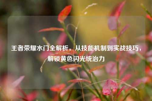 王者荣耀水门全解析，从技能机制到实战技巧，解锁黄色闪光统治力