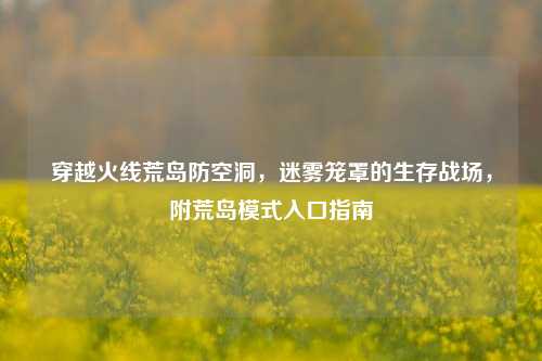 穿越火线荒岛防空洞,迷雾笼罩的生存战场,附荒岛模式入口指南