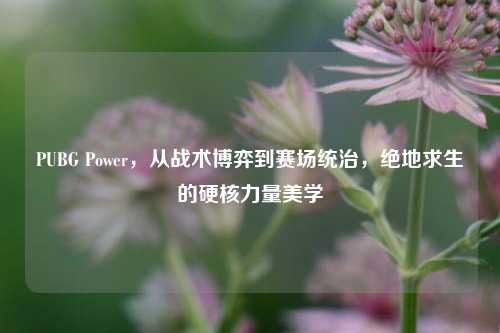 PUBG Power，从战术博弈到赛场统治，绝地求生的硬核力量美学