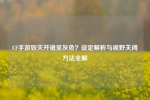 CF手游毁灭开镜呈灰色?设定解析与视野关闭方法全解