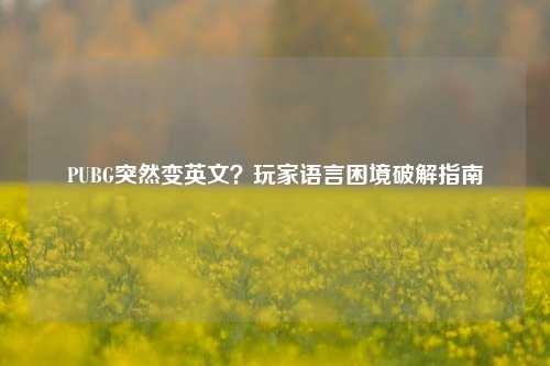 PUBG突然变英文？玩家语言困境破解指南