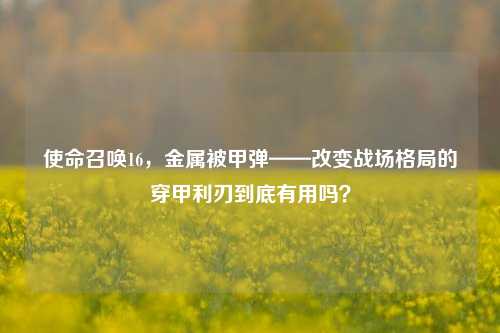 使命召唤16，金属被甲弹——改变战场格局的穿甲利刃到底有用吗？