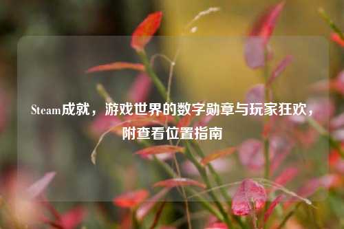Steam成就,游戏世界的数字勋章与玩家狂欢,附查看位置指南