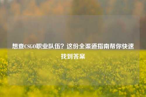 想查CSGO职业队伍?这份全渠道指南帮你快速找到答案
