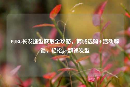 PUBG长发造型获取全攻略,商城选购+活动解锁,轻松get飘逸发型