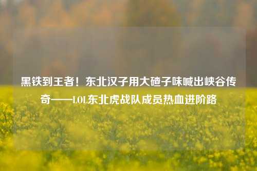 黑铁到王者！东北汉子用大碴子味喊出峡谷传奇——LOL东北虎战队成员热血进阶路