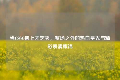 当CSGO遇上才艺秀,赛场之外的热血星光与精彩表演集锦