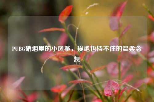 PUBG硝烟里的小风筝，挨炮也挡不住的温柔念想