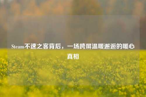 Steam不速之客背后,一场跨屏温暖邂逅的暖心真相