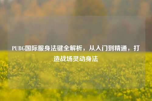 PUBG国际服身法键全解析,从入门到精通,打造战场灵动身法
