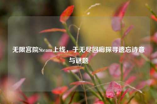 无限宫院Steam上线，于无尽回廊探寻遗忘诗意与谜题