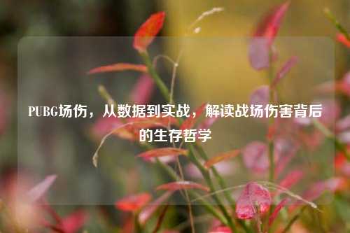 PUBG场伤，从数据到实战，解读战场伤害背后的生存哲学