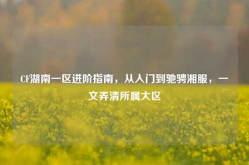 CF湖南一区进阶指南，从入门到驰骋湘服，一文弄清所属大区
