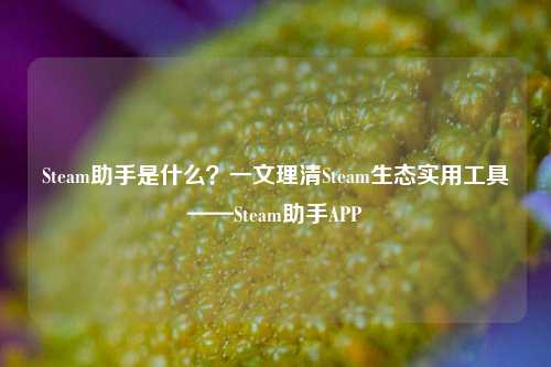 Steam助手是什么?一文理清Steam生态实用工具——Steam助手APP