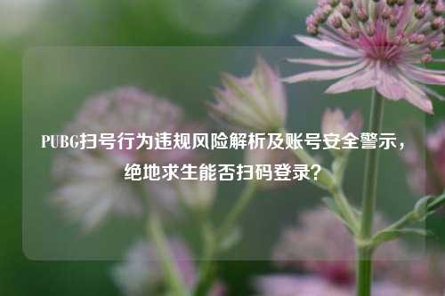 PUBG扫号行为违规风险解析及账号安全警示，绝地求生能否扫码登录？
