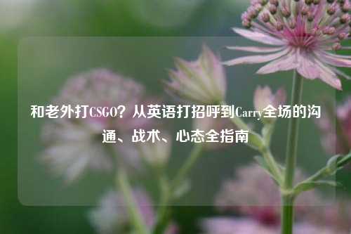 和老外打CSGO?从英语打招呼到Carry全场的沟通、战术、心态全指南