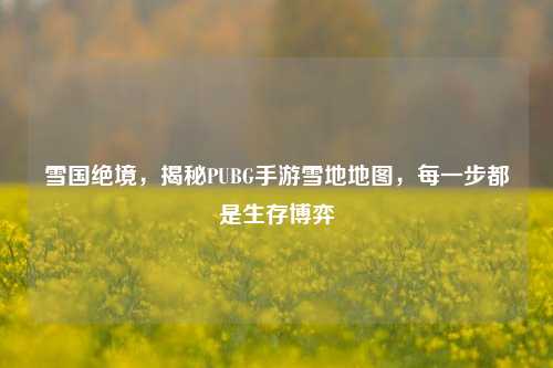 雪国绝境，揭秘PUBG手游雪地地图，每一步都是生存博弈