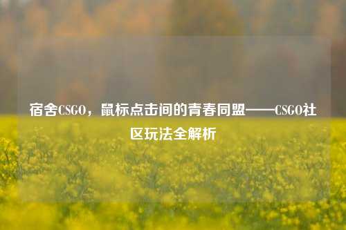 宿舍CSGO,鼠标点击间的青春同盟——CSGO社区玩法全解析