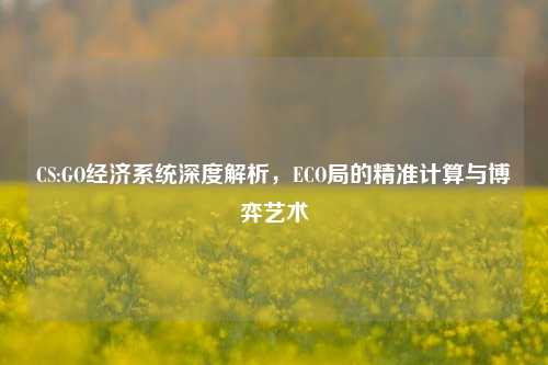 CS:GO经济系统深度解析,ECO局的精准计算与博弈艺术