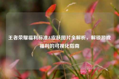 王者荣耀福利标准&皮肤图片全解析，解锁游戏福利的可视化指南