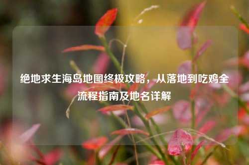 绝地求生海岛地图终极攻略,从落地到吃鸡全流程指南及地名详解