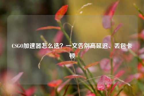 CSGO加速器怎么选?一文告别高延迟、丢包卡顿
