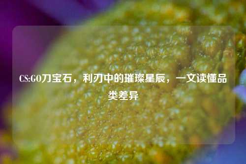 CS:GO刀宝石,利刃中的璀璨星辰,一文读懂品类差异