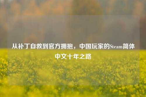 从补丁自救到官方拥抱,中国玩家的Steam简体中文十年之路