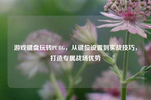 游戏键盘玩转PUBG,从键位设置到实战技巧,打造专属战场优势