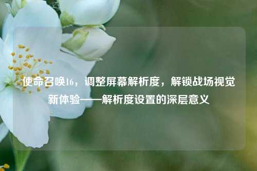 使命召唤16,调整屏幕解析度,解锁战场视觉新体验——解析度设置的深层意义