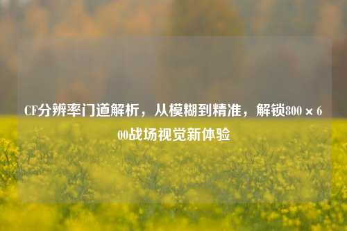 CF分辨率门道解析，从模糊到精准，解锁800×600战场视觉新体验