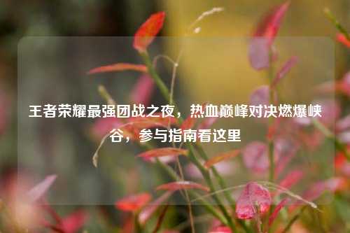 王者荣耀最强团战之夜,热血巅峰对决燃爆峡谷,参与指南看这里