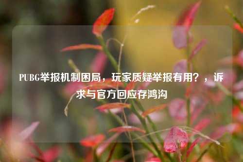 PUBG举报机制困局,玩家质疑举报有用?,诉求与官方回应存鸿沟