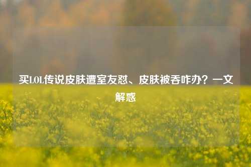 买LOL传说皮肤遭室友怼、皮肤被吞咋办？一文解惑